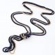 Women retro necklace, snake woman, simple, stylish, alloy necklaces jewelry daily